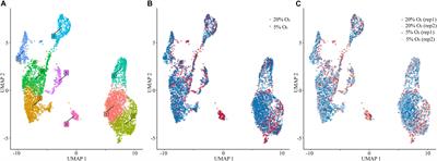 Single Nucleus RNA Sequence (snRNAseq) Analysis of the Spectrum of Trophoblast Lineages Generated From Human Pluripotent Stem Cells in vitro